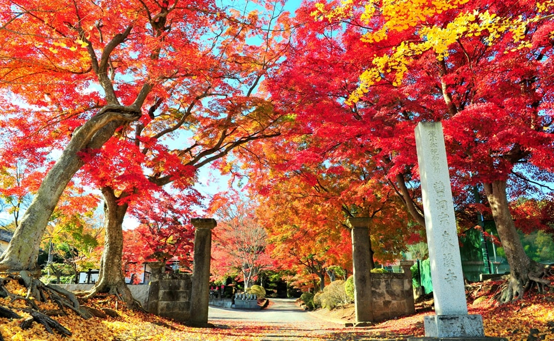 Senkeiji Temple