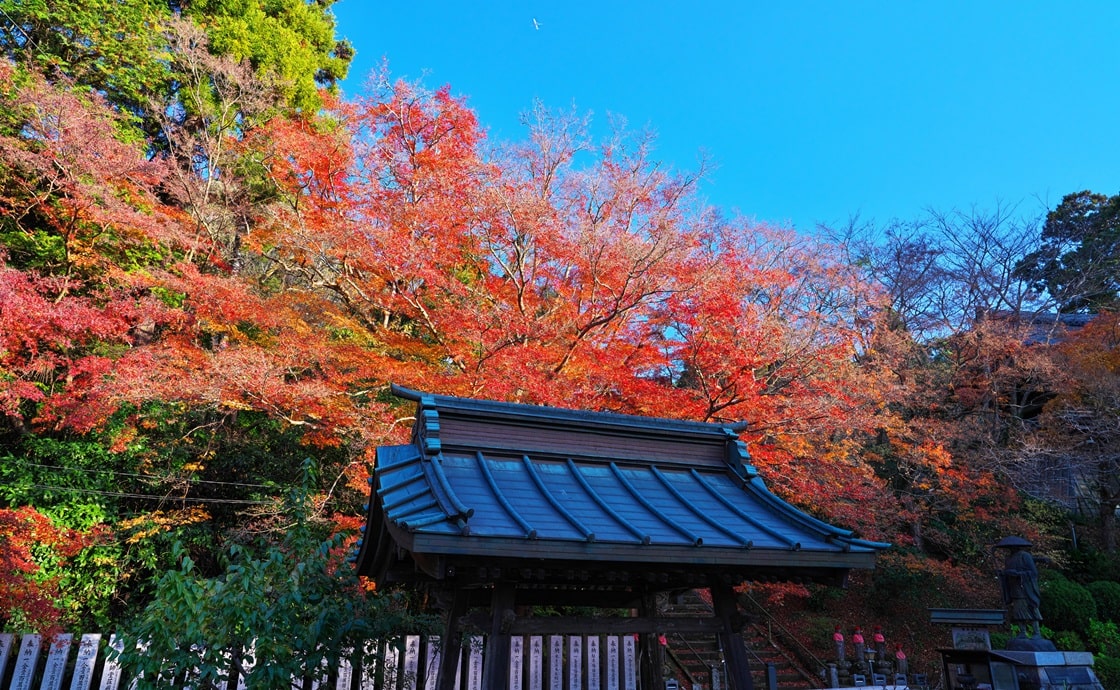 Ryufukuji Temple