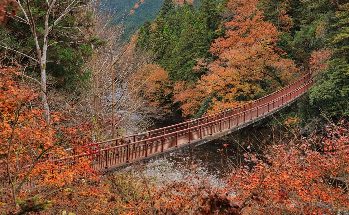 Akigawa Valley