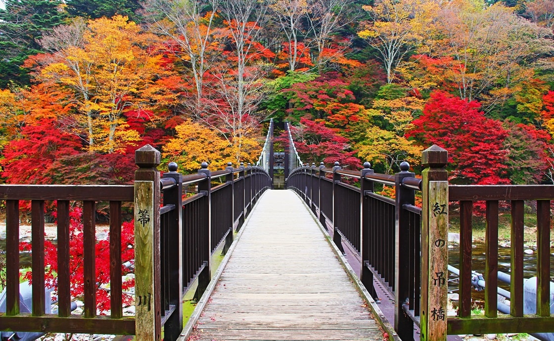 Red Suspension Bridge