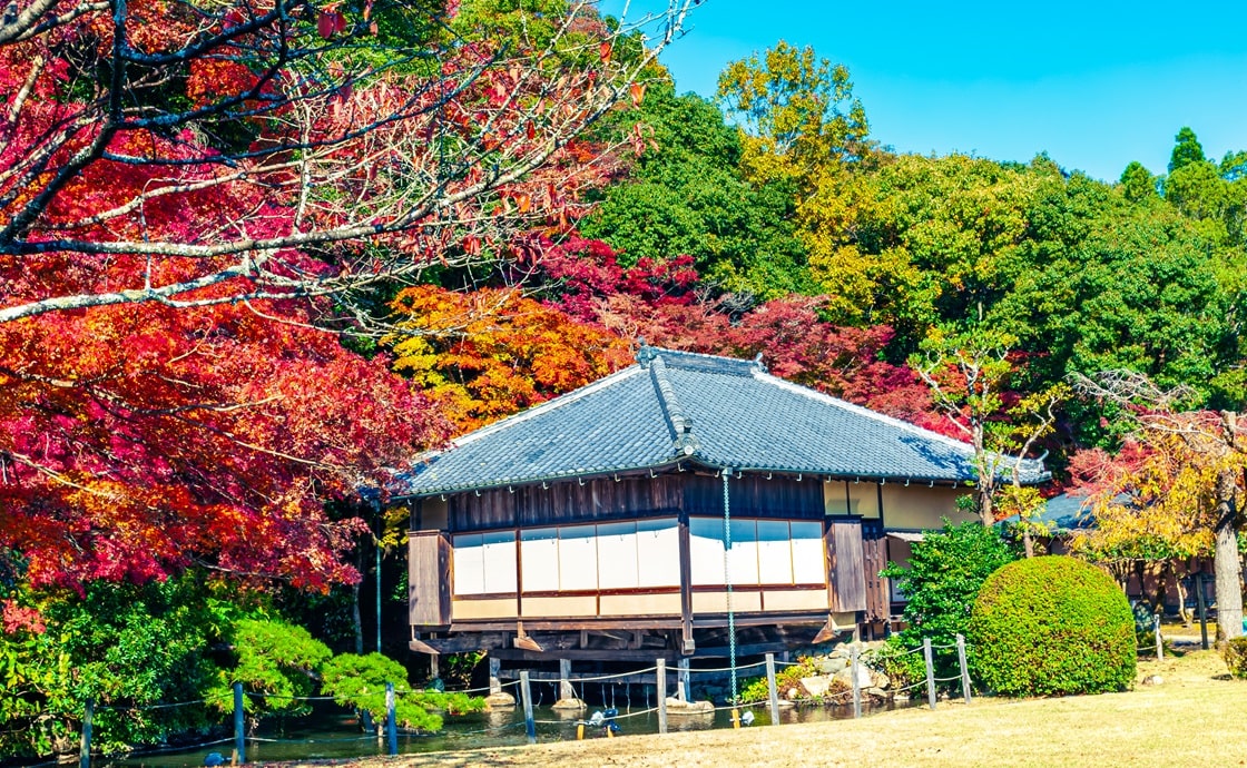 龍野公園紅葉谷