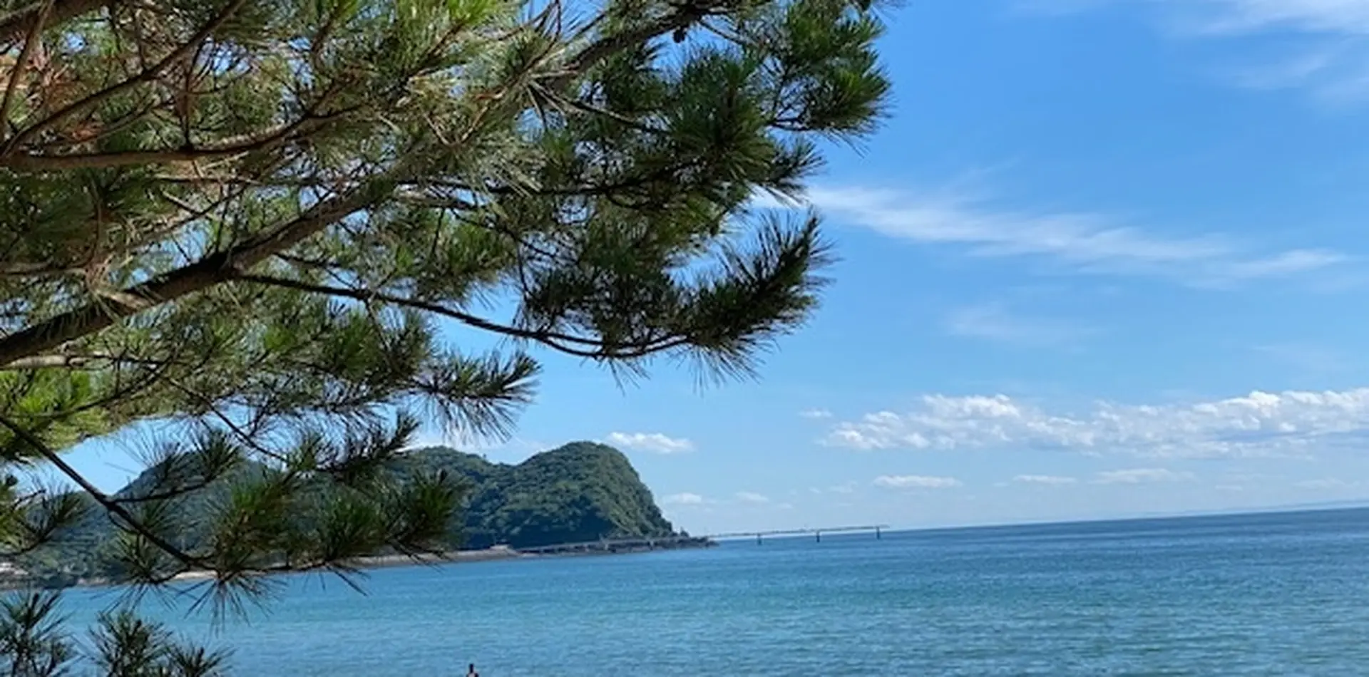 室住海灘擁有白色沙灘和綠色松樹的美麗海岸線。