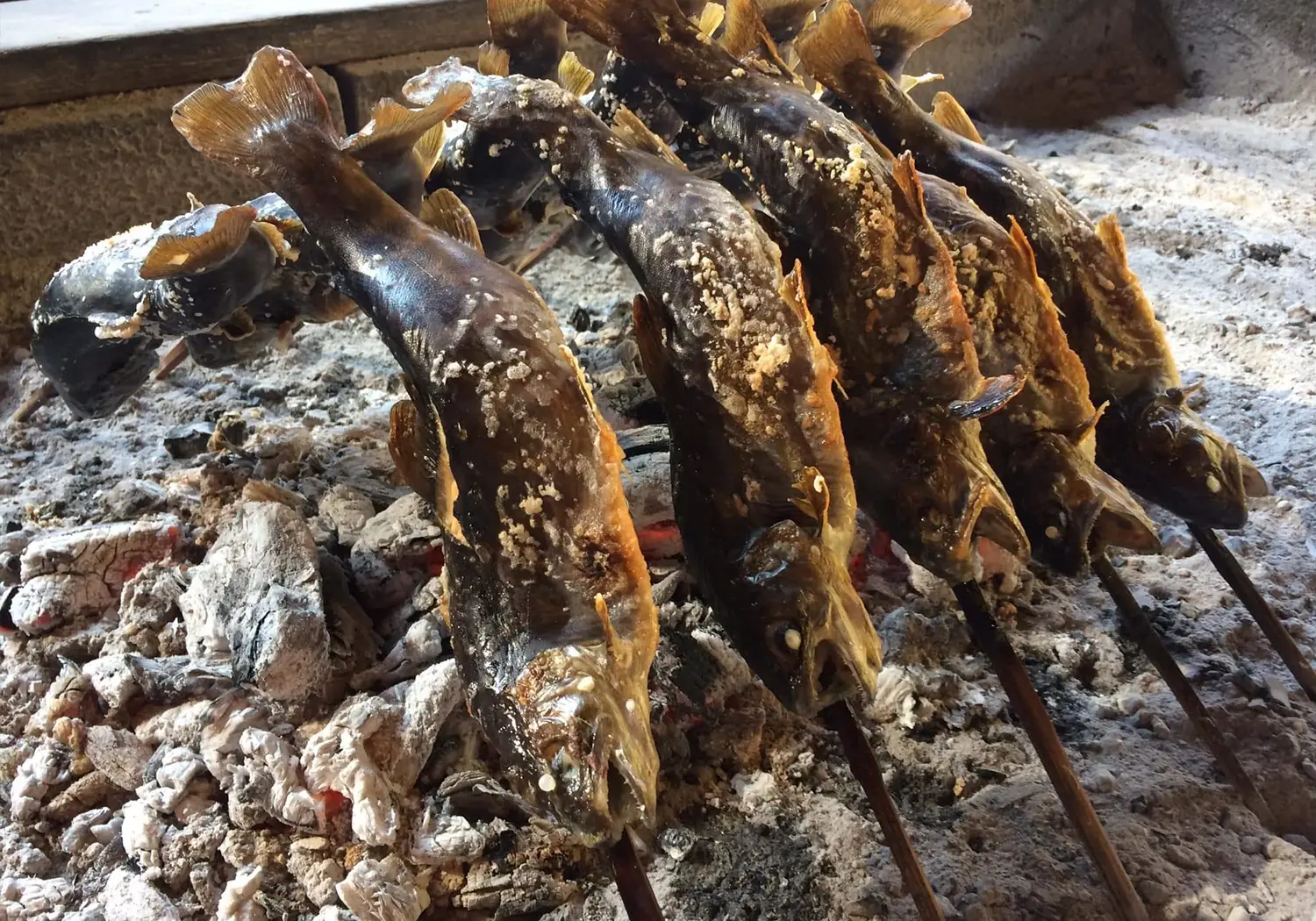 渓流釣り