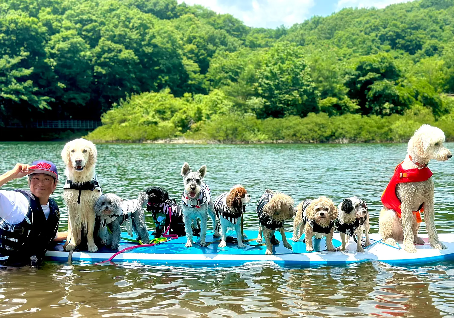 サップカヌー
