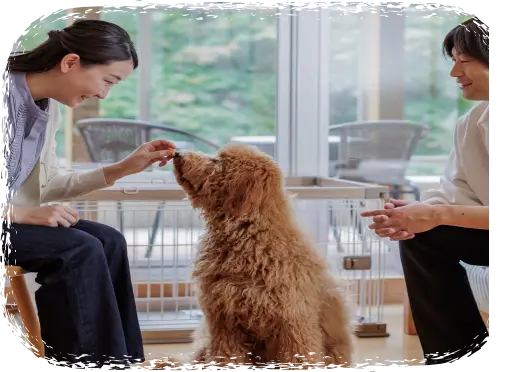 リブランドオープン わんわんパラダイス プレミア 塩原