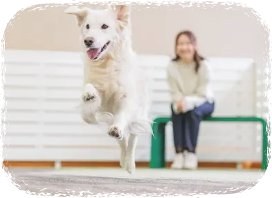 リブランドオープン わんわんパラダイス プレミア 塩原