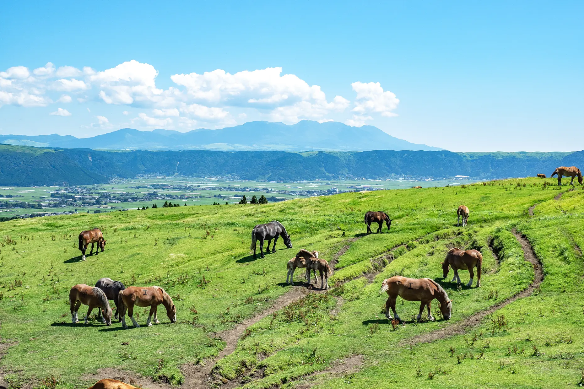 To take a deep breath, head to Aso, a place with vast grasslands
