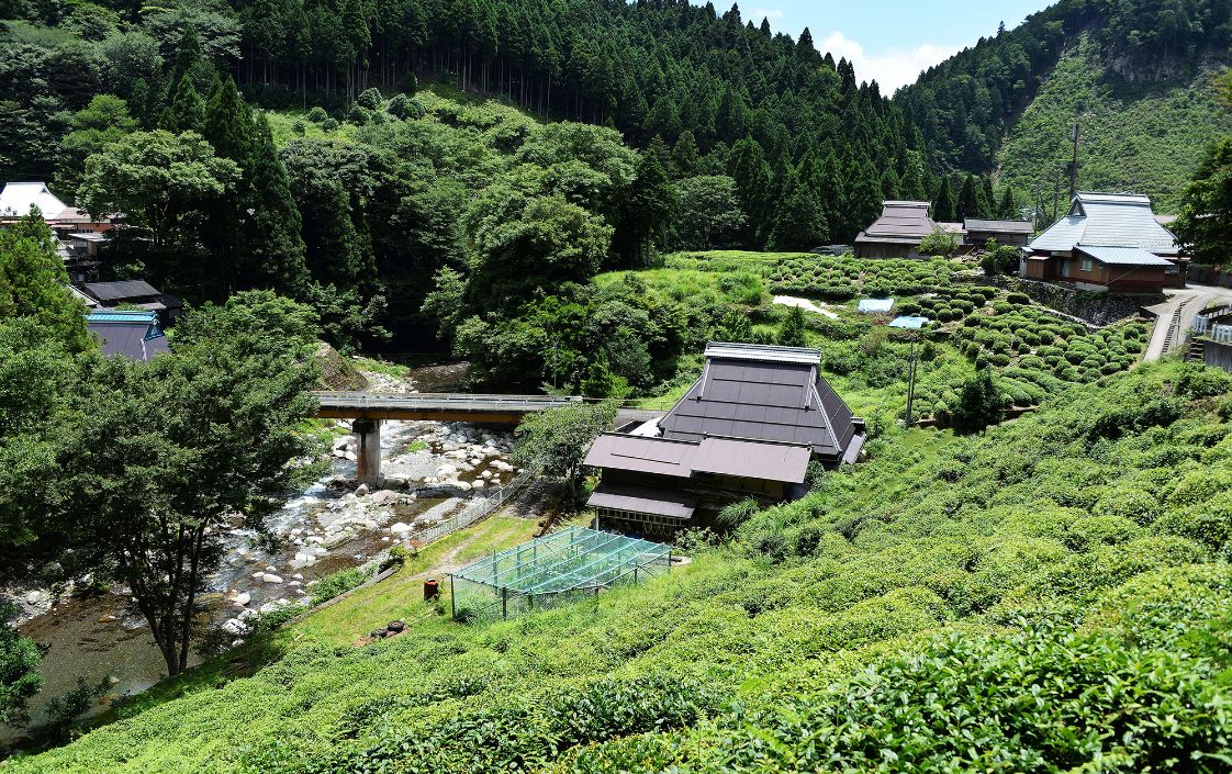 秀吉に振る舞われた茶の産地へ