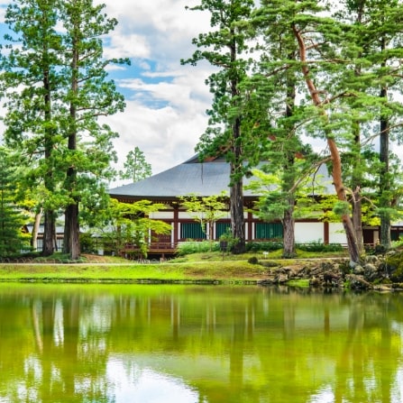 毛越寺(もうつうじ)