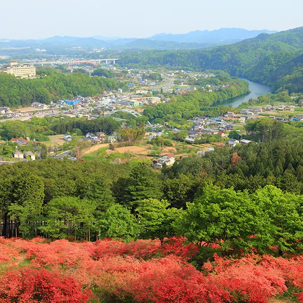 金尾山つつじ公園