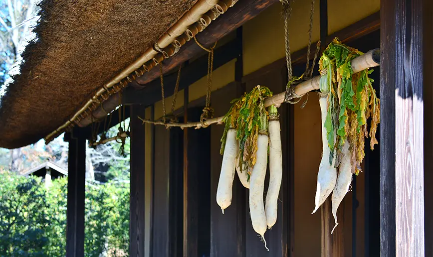 江戸東京野菜、健やかさをつないでいく