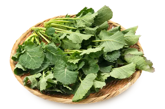 江戸東京野菜、健やかさをつないでいく