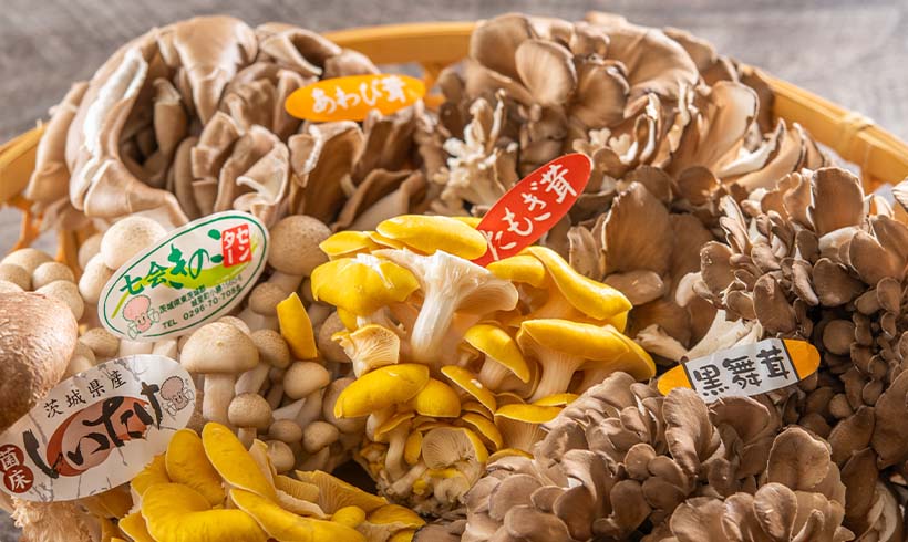 茨城の風土が育んだ豊かな食文化