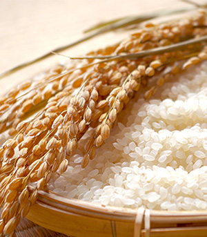 使用當地產的米和水釀造的美味