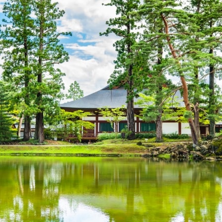 毛越寺（もうつうじ）