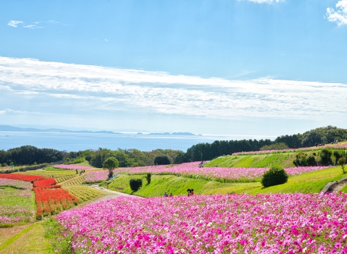 あわじ花さじき