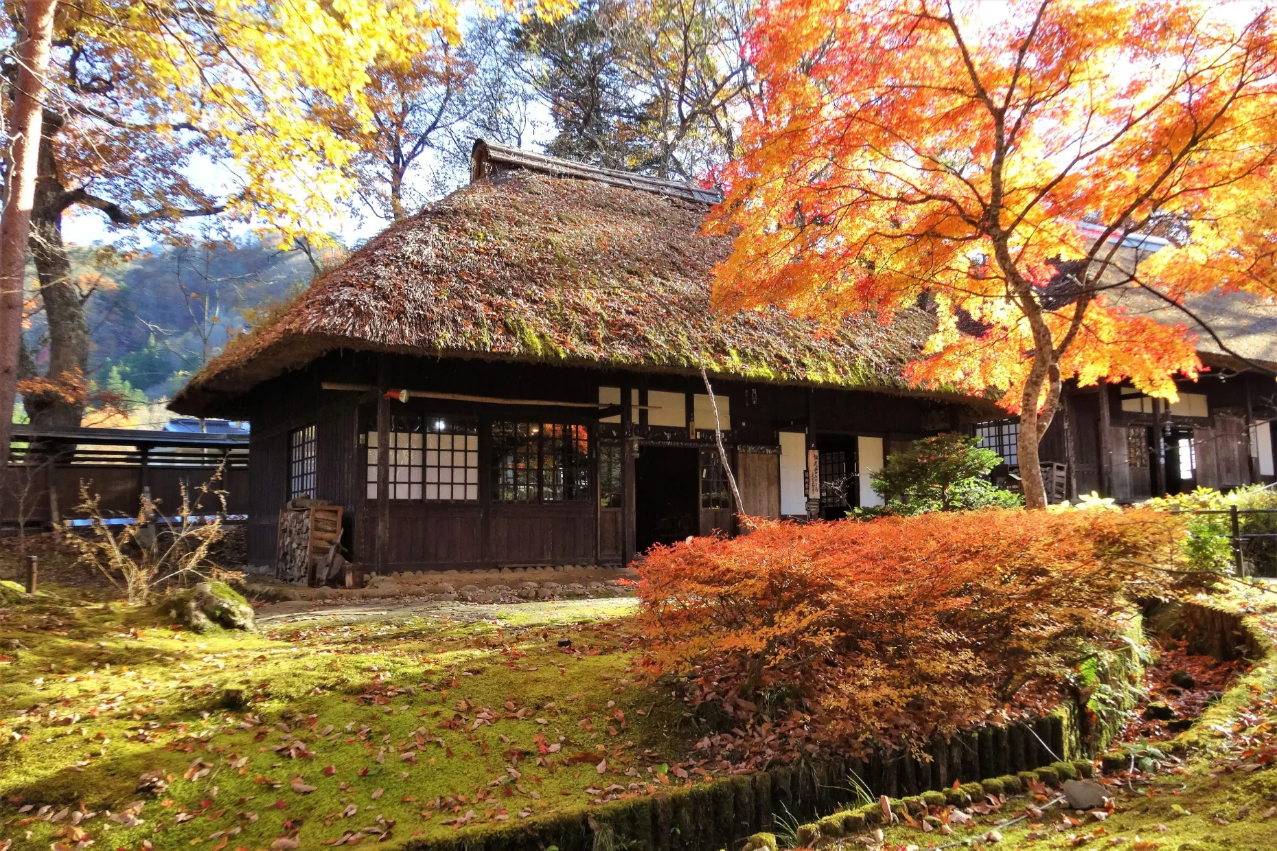 日光・湯西川を旅し、平家の落人伝説に想いを馳せる