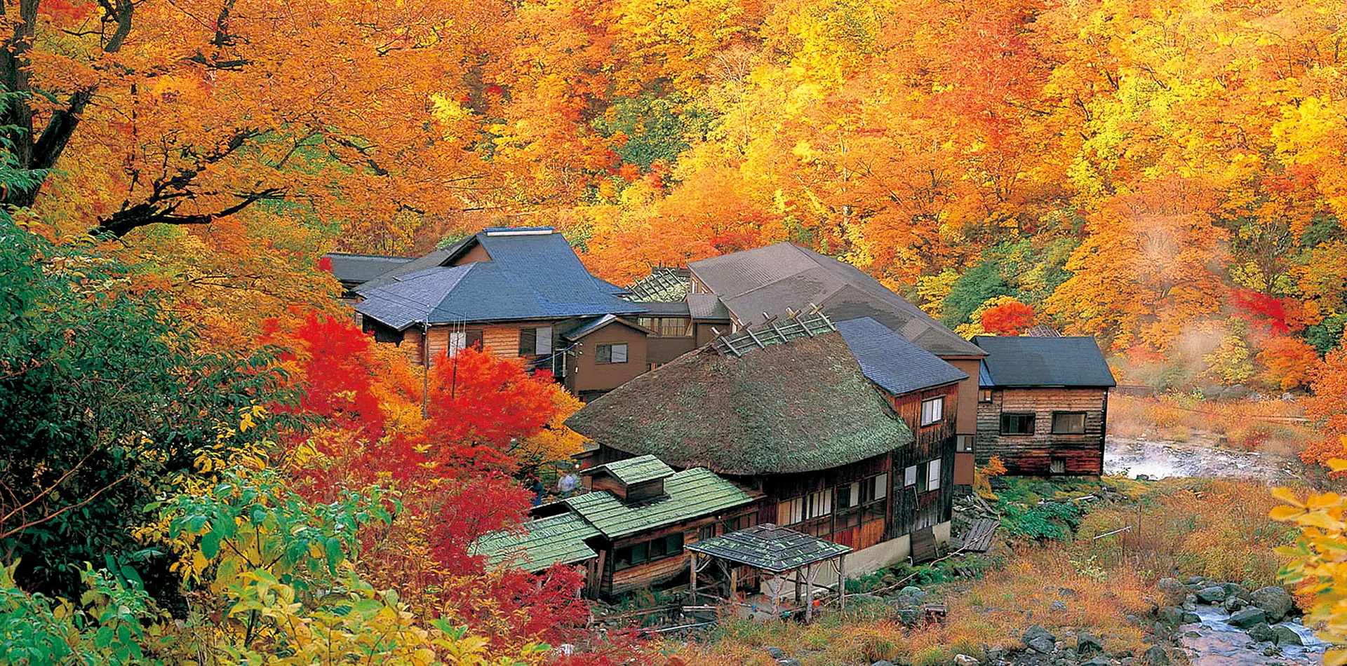 乳頭温泉郷の紅葉 見頃10月中旬～10月下旬/ 秋田駒ケ岳の紅葉見頃9月下旬～10月上旬