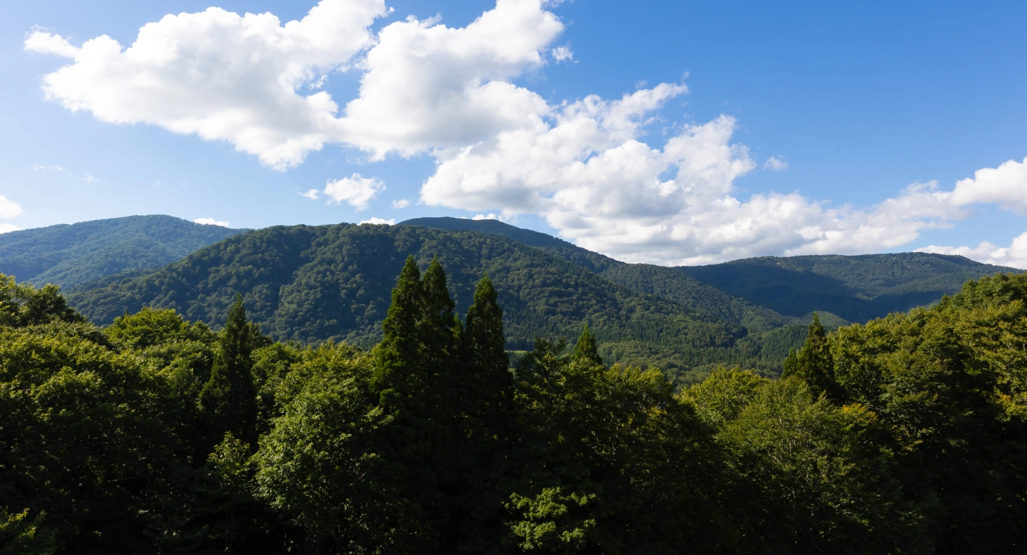 【禁煙】本館 特別室（12+8+3畳）