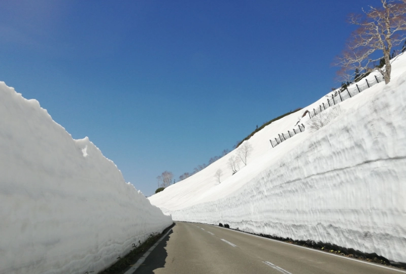 八幡平アスピーテライン