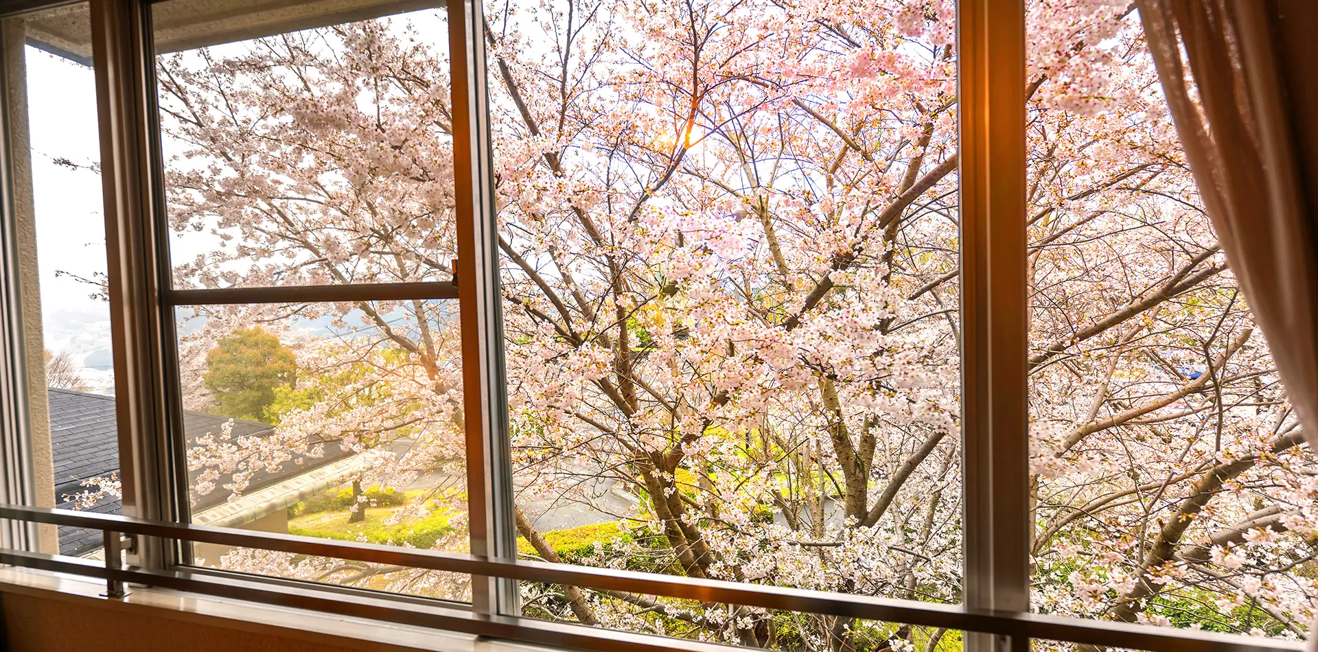 お部屋の窓から四季折々の自然豊かな風景眺めながら癒しのひとときを