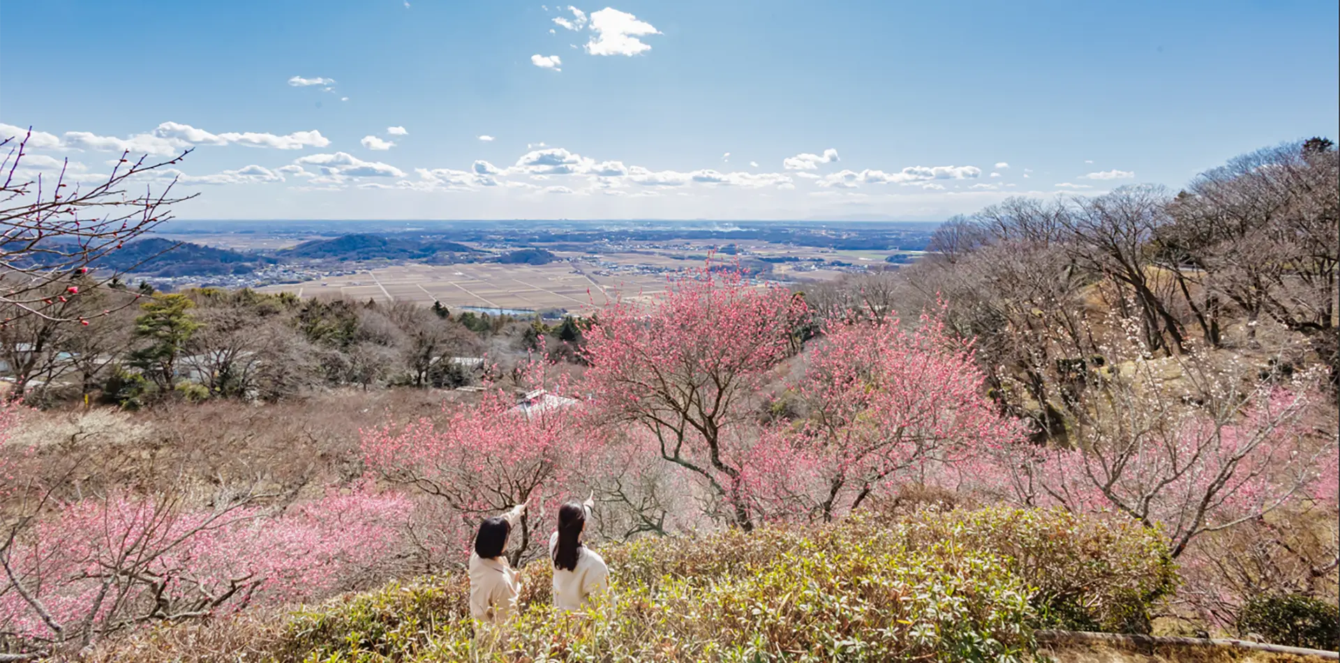 筑波山梅林から望む、雄大な関東平野を満喫