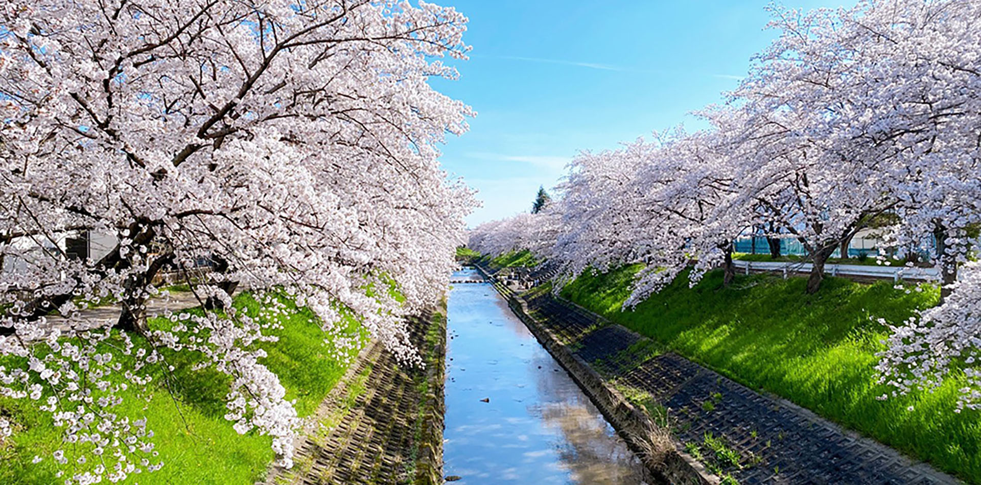 庭園