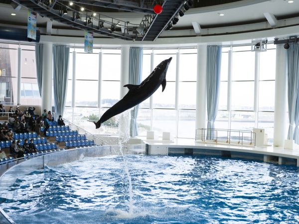 アクアワールド茨城県大洗水族館