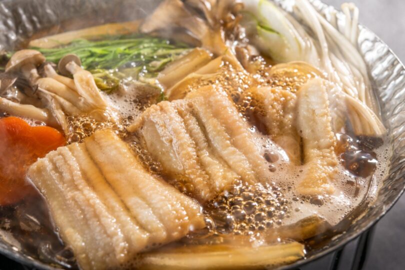 プラン画像