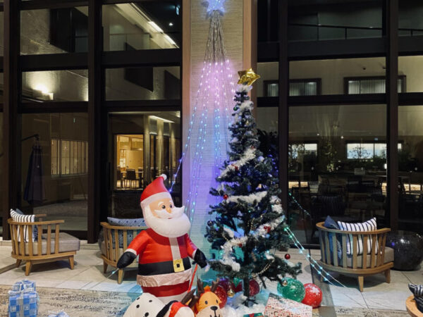2023　【亀の井ホテル鴨川】のクリスマスツリー到来！！