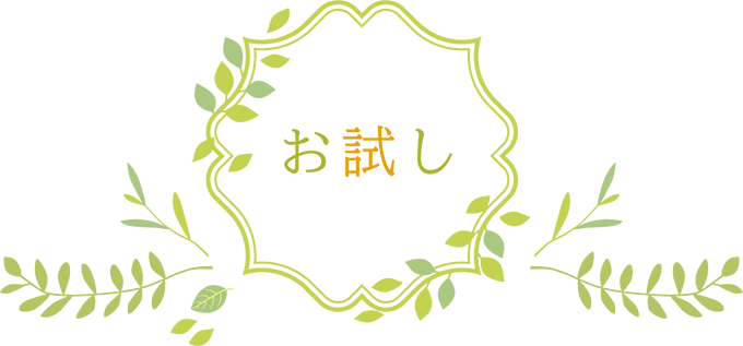 お試し