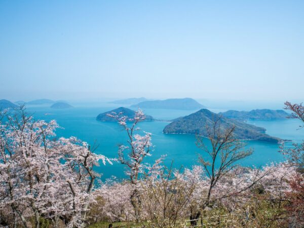 Mt. Shiude cherry blossoms 003
