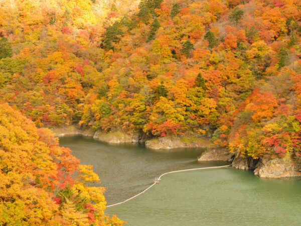 紅葉の名所「日光」で過ごす秋旅行