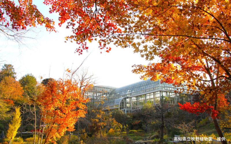 牧野植物園