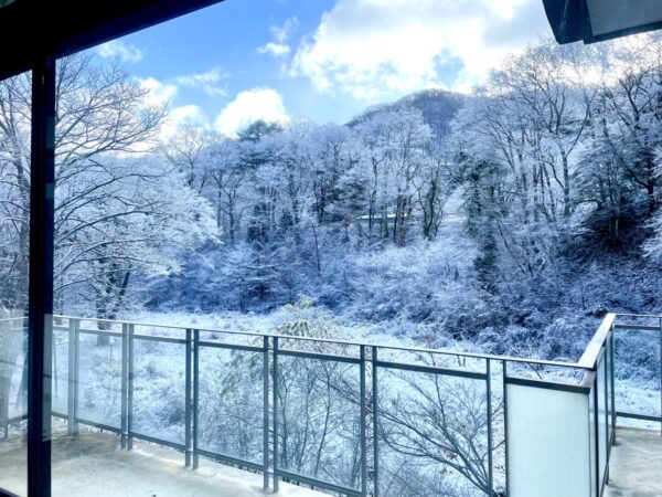 すっかり冬景色に！～ホテルからの景色をご紹介～