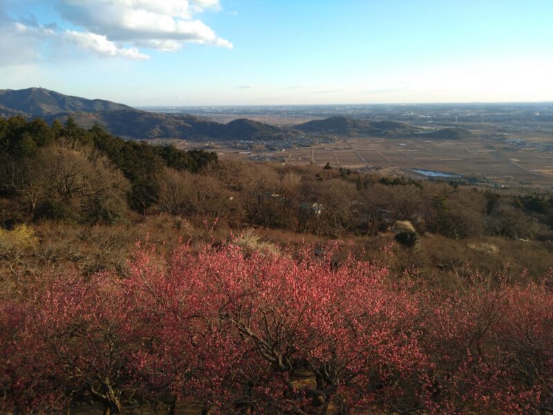 筑波山　写真