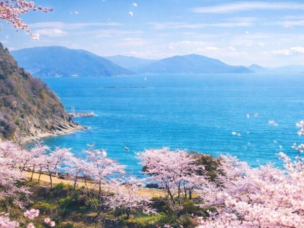 【今年の春は、亀の井ホテル赤穂へ】 ― 瀬戸内の海と桜に包まれる、春の赤穂へ ―