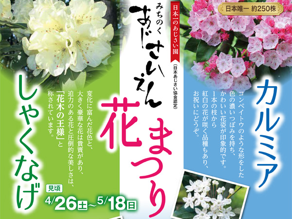 c9881ba2d51edcb89e5b625cae50e4be