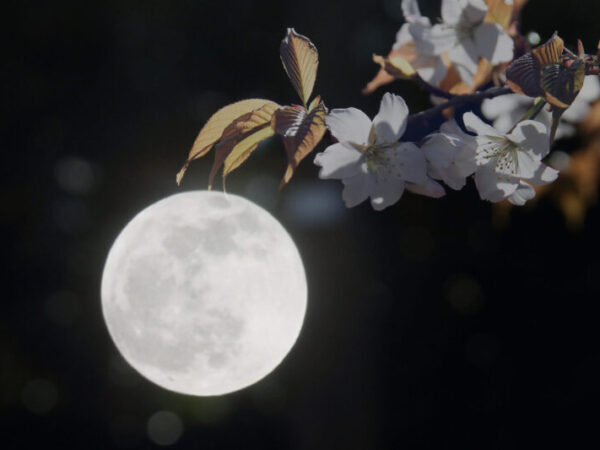 5月満月