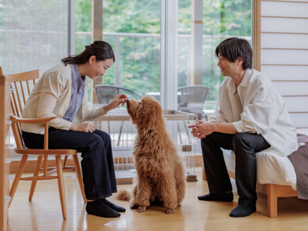 【当ホテルが宿泊先に!】わんちゃん専用バスでいく那須ツアー