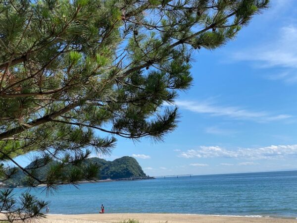 海開きのお知らせ