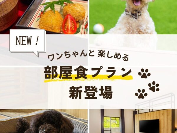新プラン登場！ワンちゃんと楽しめる「部屋食プラン」