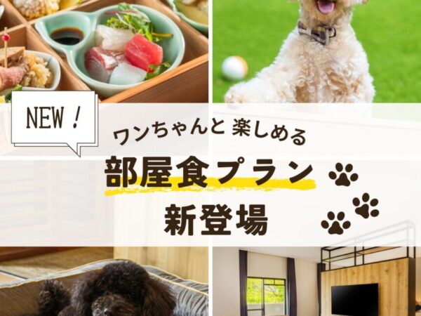 新プラン登場！ワンちゃんと楽しめる「部屋食プラン」