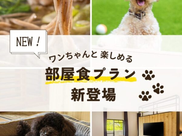 新プラン登場！ワンちゃんと楽しめる「部屋食プラン」