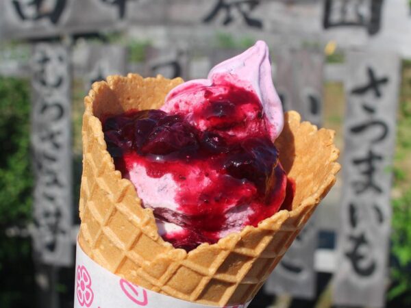 暑い夏にピッタリ！田中農園の「果実ブレンドソフトクリーム」