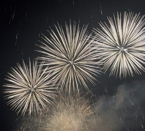 【イベントのお知らせ】いの町納涼花火大会2025年8月3日開催!