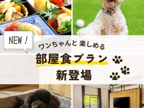 新プラン登場！ワンちゃんと楽しめる「部屋食プラン」