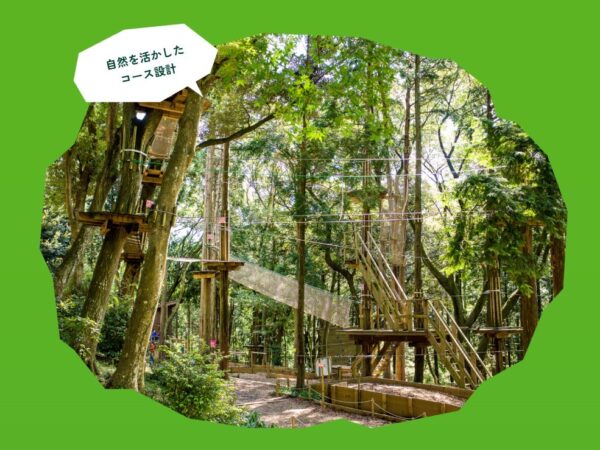 関西でアウトドアなら伊吹山へGO!