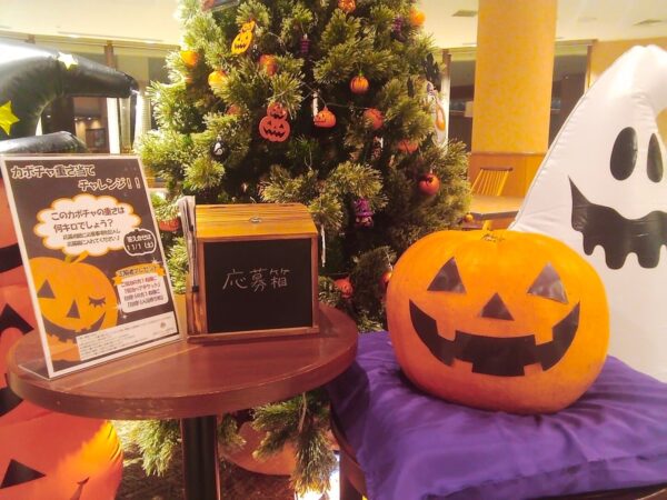 【ハロウィンイベント】カボチャ重さ当てチャレンジを開催いたします★