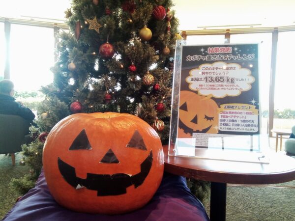 [Results] Guess the Pumpkin Weight Challenge